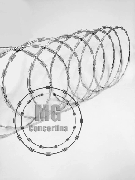 MG Concertina - Foto 3
